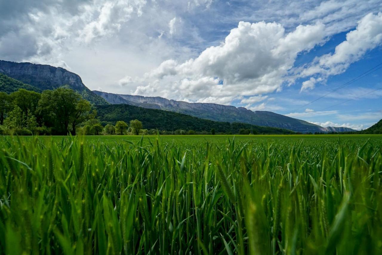 Les Aravis - Apartment For 6 People 5Min From The Lake Giez Luaran gambar